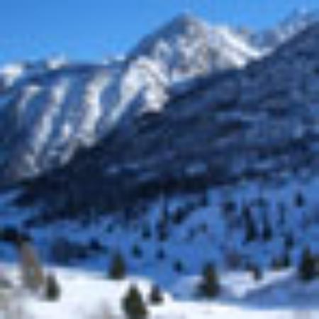 Shokusai Robata Hayashi